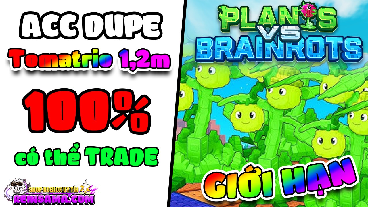 ACC CÂY CÀ CHUA DUPE