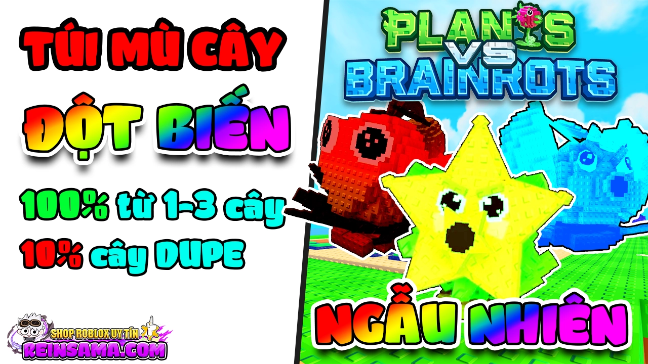 TÚI MÙ CÂY ĐỘT BIẾN