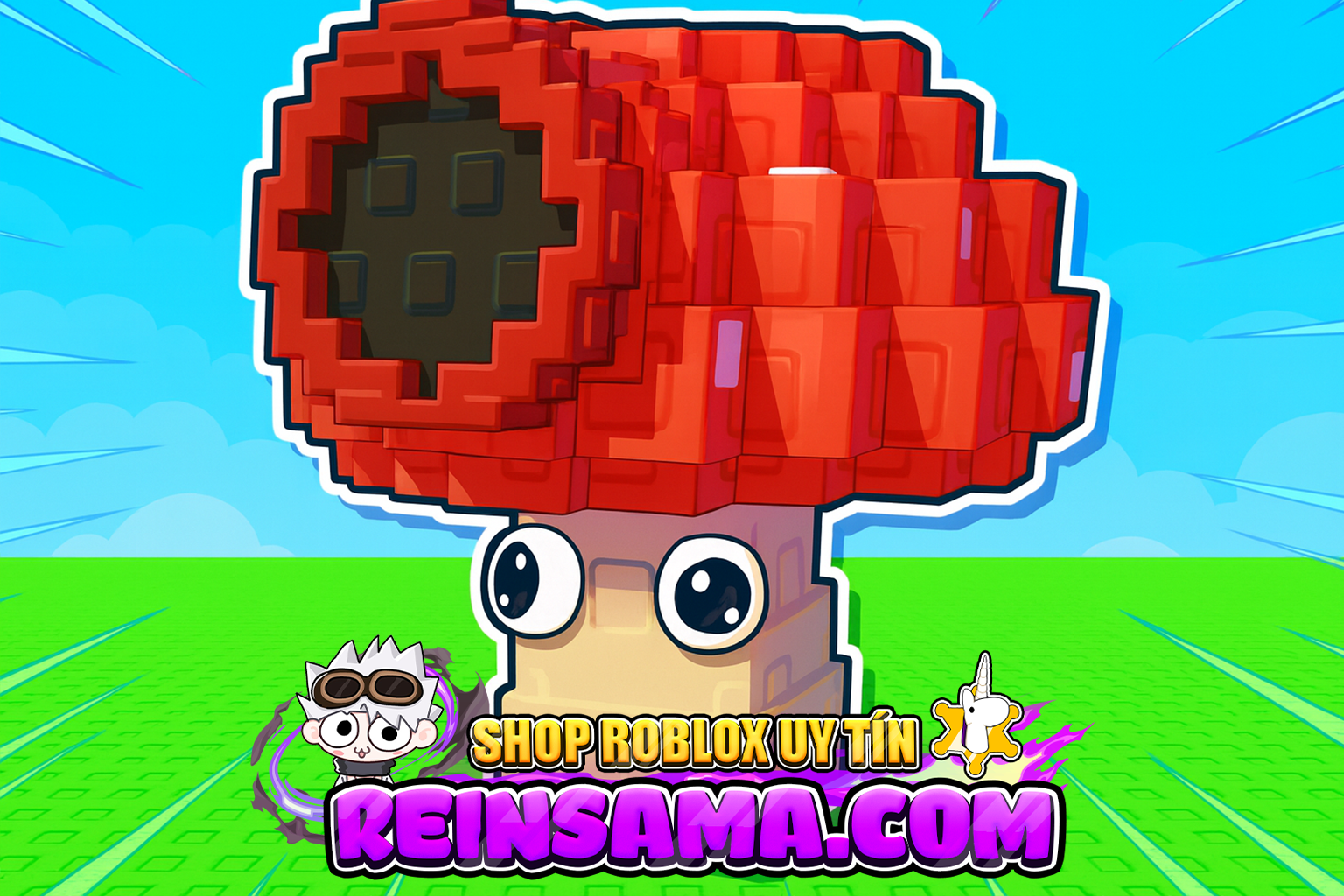 🍄 SHROOMBINO 🍄